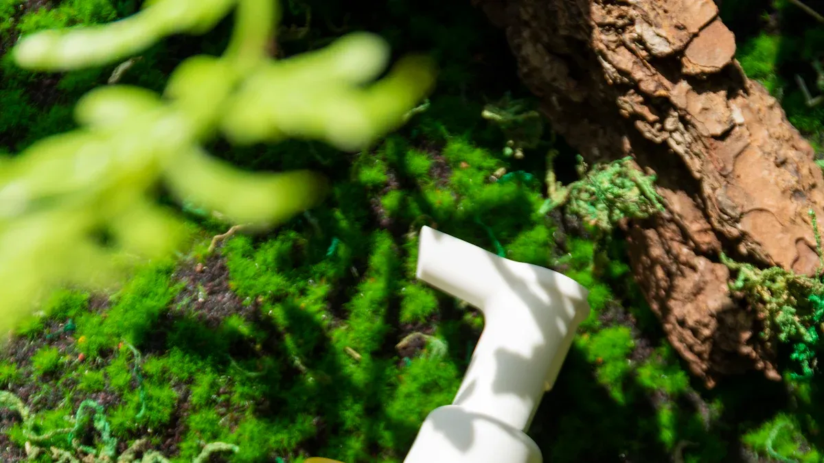 Clean Beauty and Sustainability