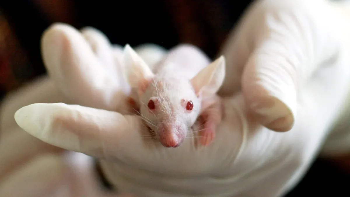 Importance of Performing a Patch Test